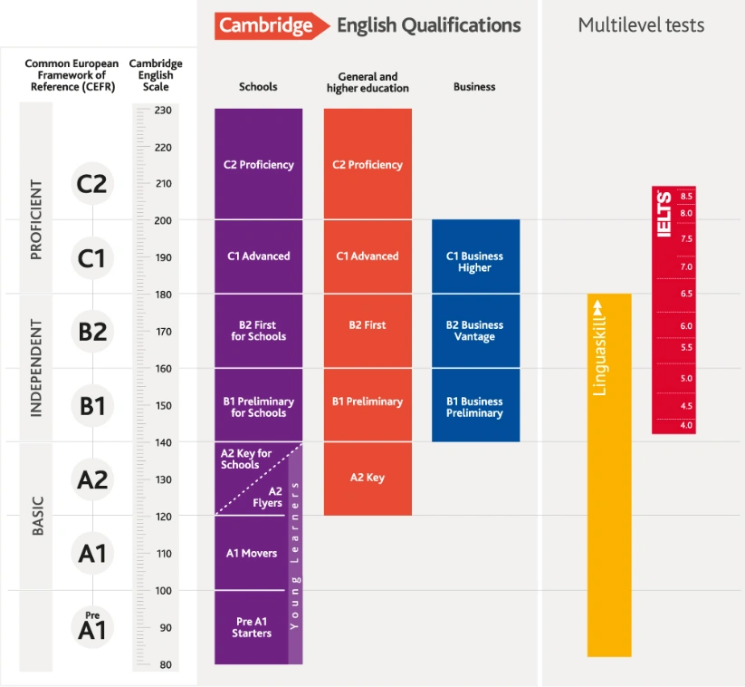 CAE Certificates Levels